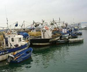 Jijel - Activité halieutique: La détresse des pêcheurs face à la rareté du poisson