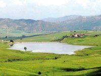 Dra Ben Khedda - Après le déversement de 10.000 litres d’huile industrielle dans l’oued Guergour:  Grande opération de nettoyage du barrage d’Aïn Zaouïa