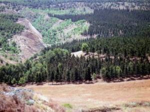 Protection du bassin versant Beni Haroun (Mila):  Nécessité d’un couvert végétal permanent