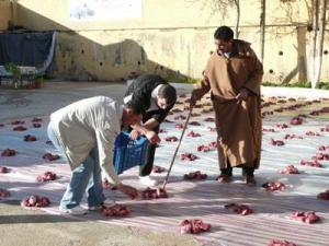 Mawlid Ennabaoui:  «Ennafka», une tradition spécifique à la région de Mila