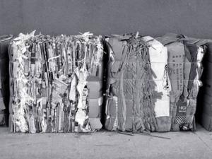 Algérie - L’industrie du papier peut être sauvée