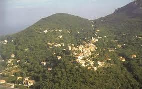 La forêt face aux changements globaux:  La 3e semaine forestière méditerranéenne à Tlemcen