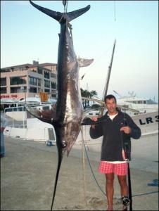 Jijel -  La pêche à l’espadon interdite jusqu’à fin mars