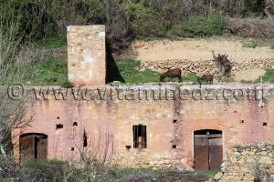 Un moulin à eau, ou moulin hydraulique, est un moulin utilisant l\'énergie du courant du cours de Oued La Tafna traversant la commune de Azails