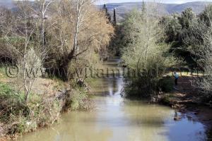 Oued La Tafna traversant la commune de Azails, son cours est assez abondant vu la pluviométrie de ces derniers jours