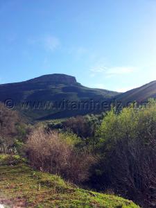 Mont Zahra (commune Azails) Beni Snous (Tlemcen)