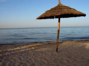 Skikda  -  Journée de toilettage de la plage de Guerbès