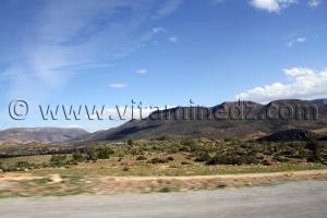 Foret des Azails, Beni Snouss, Tlemcen