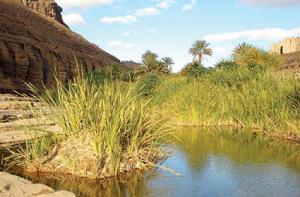 Nâama - Des sites touristiques à valoriser