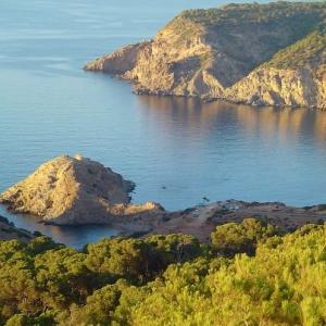 418957_422950647798911_1060561789_n