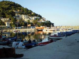Port de pêche de Collo -  La halle à marée sème la discorde