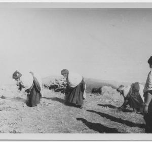 Femmes Aurésiennes de KEBACH