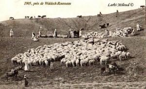 Sidi Hosni 1905