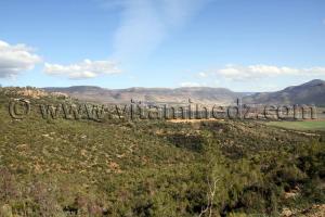 Maisons forestières de Hafir