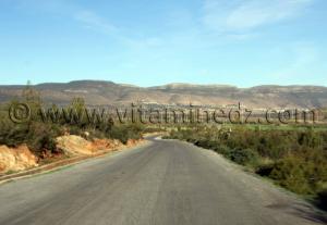 La commune d\'Aïn Ghoraba et ses environs  Tirmeli, Ouled Boukhris, Bouhassoun, Hafir, Aïn Djadja, Aïn Bared, Aïn Fatouh, El Heneche, Taghezza, El Oued (Boufaïla, Chaïb, Dahmana)