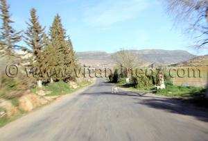 La commune d\'Aïn Ghoraba et ses environs  Tirmeli, Ouled Boukhris, Bouhassoun, Hafir, Aïn Djadja, Aïn Bared, Aïn Fatouh, El Heneche, Taghezza, El Oued (Boufaïla, Chaïb, Dahmana)