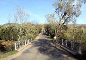 La commune d\'Aïn Ghoraba et ses environs  Tirmeli, Ouled Boukhris, Bouhassoun, Hafir, Aïn Djadja, Aïn Bared, Aïn Fatouh, El Heneche, Taghezza, El Oued (Boufaïla, Chaïb, Dahmana)