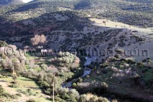 La commune d\'Aïn Ghoraba et ses environs  El Oued (Boufaïla, Chaïb, Dahmana)