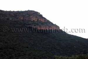 La commune d\'Aïn Ghoraba et ses environs  Tirmeli, Ouled Boukhris, Bouhassoun, Hafir, Aïn Djadja, Aïn Bared, Aïn Fatouh, El Heneche, Taghezza, El Oued (Boufaïla, Chaïb, Dahmana)