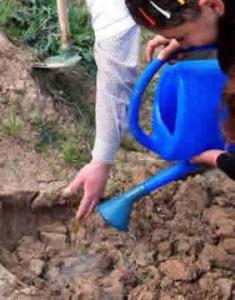 Sidi Bel Abbès -  Les enfants célèbrent la Journée de l’Arbre