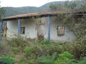 la zawia de sidi moussa dans les hauteurs de la mitidja