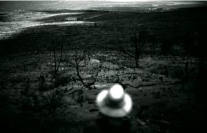 Christophe Besacier. Expert forestier au département des forêts à la FAO:  Les forêts algériennes sont parmi les plus menacées en Méditerranée