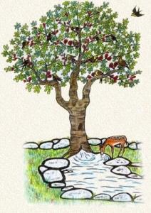 MEDEA: La forêt, l'eau et le reste