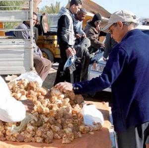 Algérie -  Agriculture: La truffe menacée de disparition