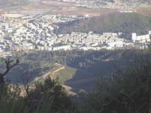 Cité Plaine Ouest de Annaba -  Les espaces verts suscitent la convoitise