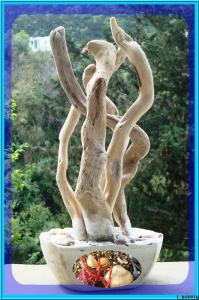 déco au bois flotté