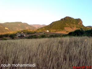 سيدي سميان جنة فردوس تيبازة المنسي