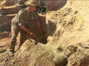 Grande découverte archéologique à Tighenif:  Pour la classification du site patrimoine mondial