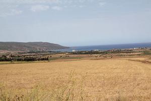 Mostaganem - Agriculture: Cap sur la mise en valeur des terres