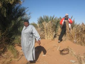 in salah wilayat tamanrasset