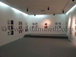 l\'exposition EL MEIDA organisée du 07 Mars au 05 Avril 2013 au Musée d\'Art et d\'histoire de Tlemcen. Karim Sergoua est commissaire de cette exposition sur le dessin de design autour d\'un même objet El MEIDA.