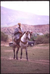 Cavalier à Une waada à Tlemcen dans les années 80