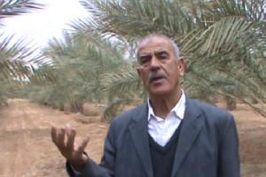 A Tolga, la datte ...