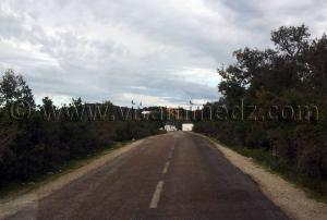 Frontières algéro-tunisiennes (Wilaya El Taref)