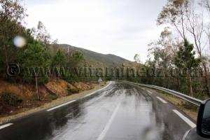 Frontières algéro-tunisiennes, commune de souarekh  Oum Theboul, Haddada, Mechta Meloul ... (Wilaya El Taref)