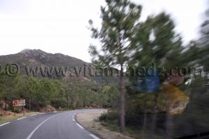 Route des Frontières algéro-tunisiennes, vers oum Tboul