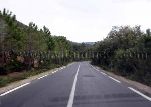 Route vers Frontières algéro-tunisiennes