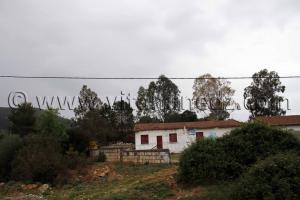 Village Heddada, commune de souarikh (Wilaya El Taref)