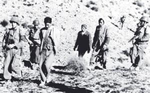 RATISSAGE A TAOUZIENT