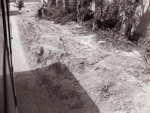 Ben Hamdane et Ben Chaâbane (Blida): Abattage d’arbres pour bétonner anarchiquement !