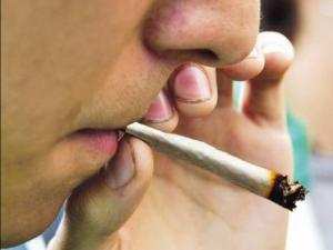 Algérie - Ecole, famille, cité et lieu de travail:  L’usage de la drogue s’étend et se banalise