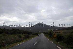 Frontières algéro-tunisiennes, commune de souarekh  Oum Theboul, Haddada, Mechta Meloul ... (Wilaya El Taref)