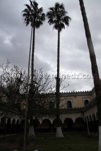 Frontières algéro-tunisiennes, commune de souarekh  Oum Theboul, Haddada, Mechta Meloul ... (Wilaya El Taref)