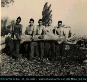 La corvé de bois ferme MARTIN KAIS