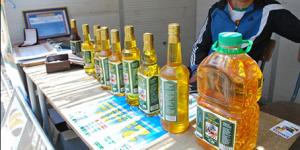 16e édition de la fête de l’olive d’Akbou:  «Le produit oléicole est marginalisé»