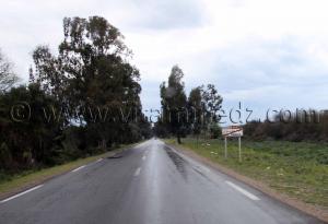 Sortie  Oum Teboul, (Wilaya El Taref)